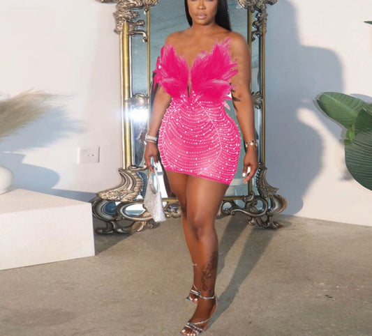 Secret Mini Dress - Fushcia