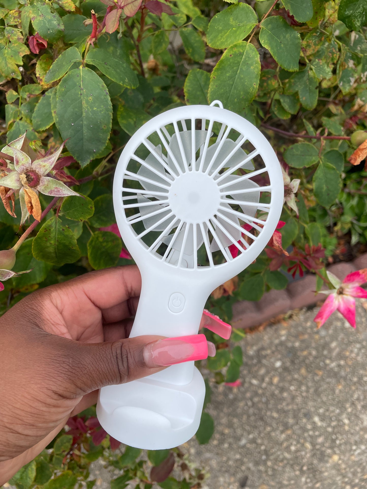 Portable Fan